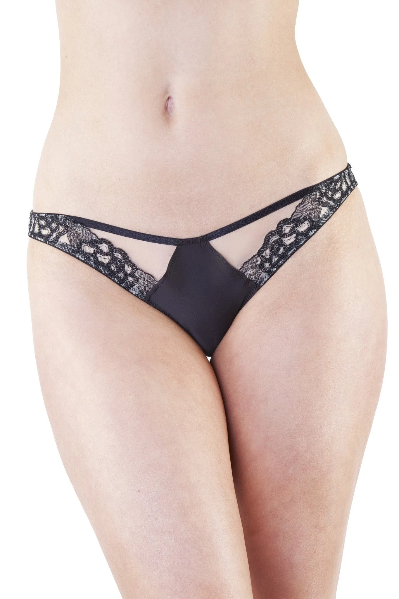 Amelia Embroidered Net Brief